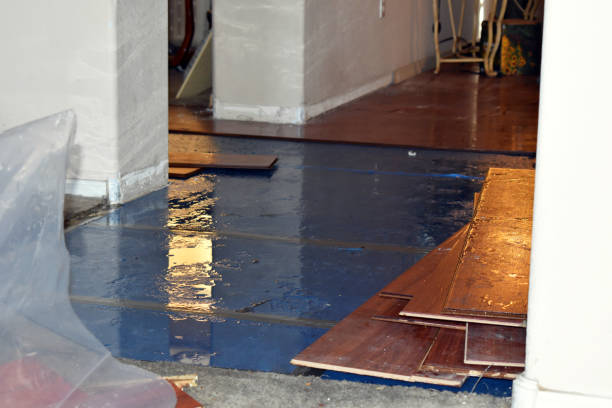Professional Water Extraction technician working in Leakesville, MS